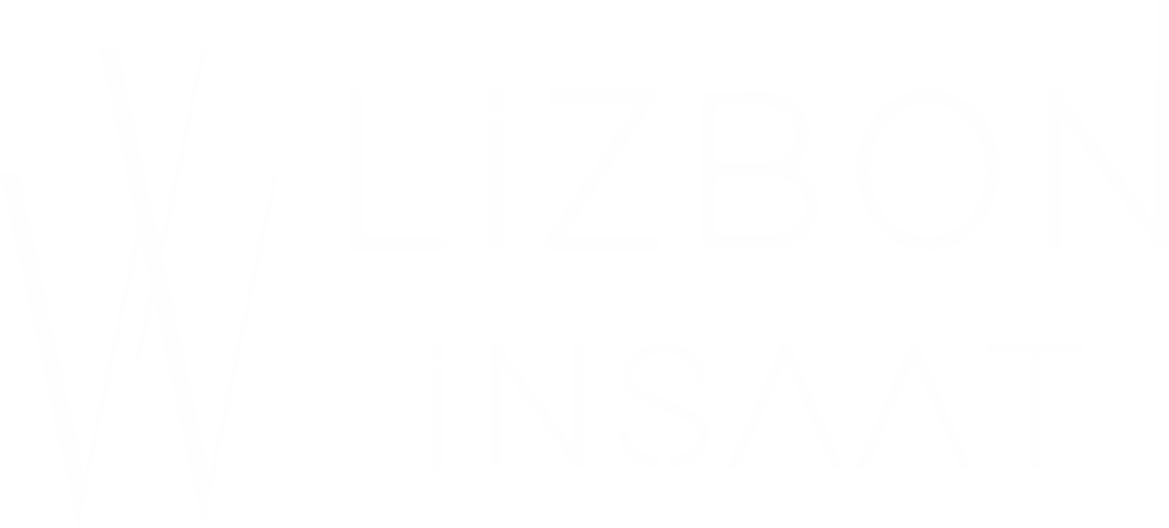 lizbon insaat